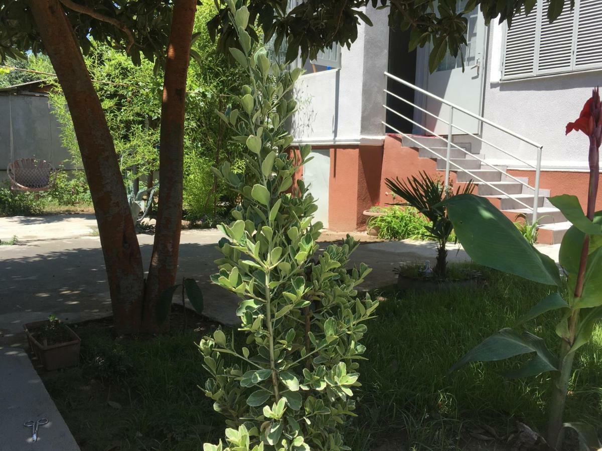 Green House Тбилиси Екстериор снимка